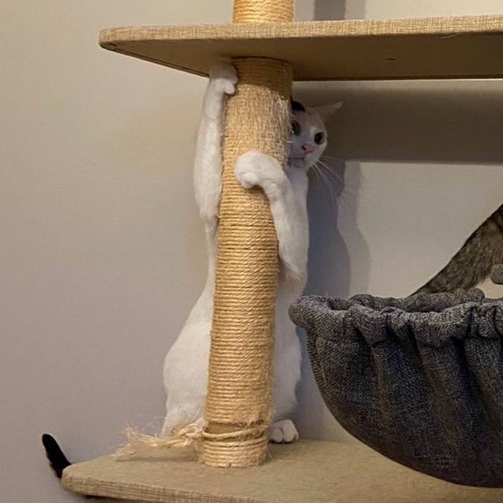 91d90c57 1ea5 43a3 90e0 55e4f3fcb5f5 1715696343781