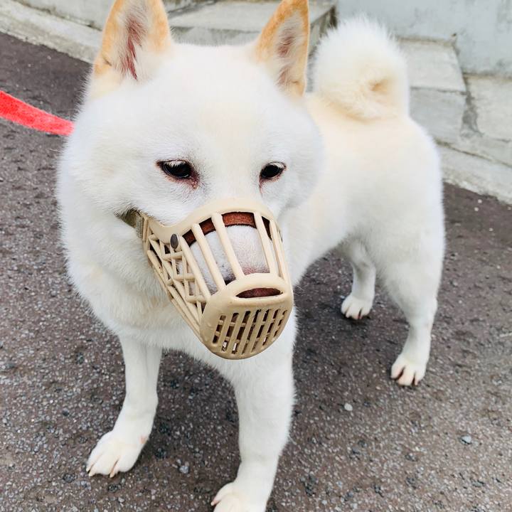 91d91162 8edb 40bf 8069 990559690526 1593550281854