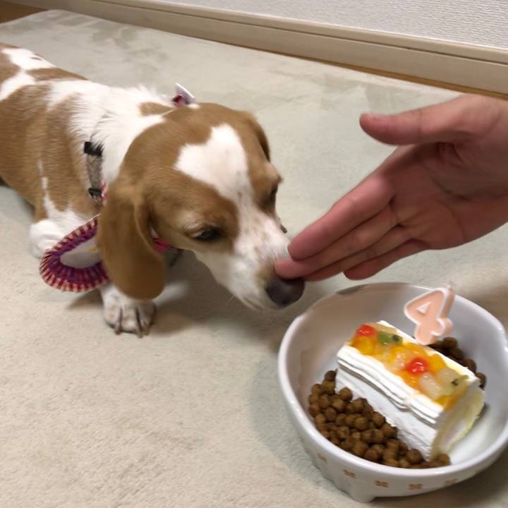 91d95318 117d 4850 8c18 9240db3ace90 1638786019149