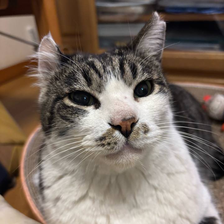 91d9bb8c 0390 4d6d aada 2320780a3d4f 1771034914664