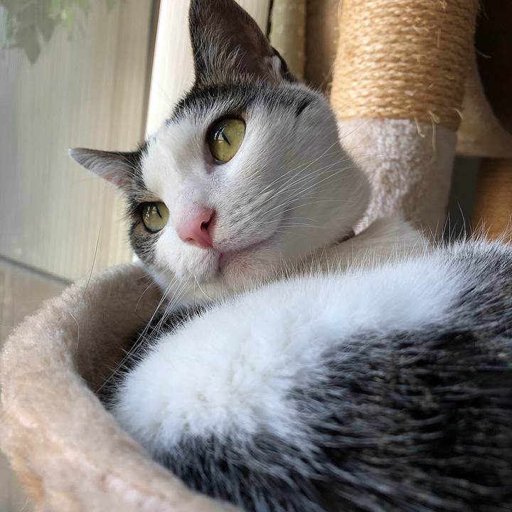 91d9c1cd 3f7f 40b3 a379 30b83084c779 1656406349073