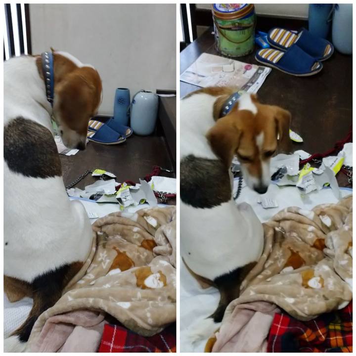 91da5b06 635e 4fd4 9d6d d59a5096ebda 1604301842224