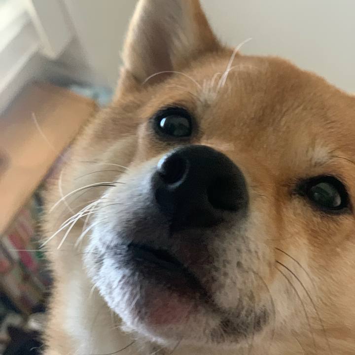 91da704c 8009 4786 9286 8bcb5be20742 1766974803835