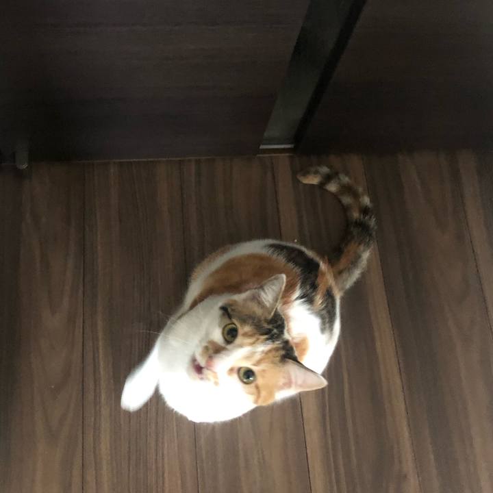 91da8c61 3c35 4c11 95b8 2c4d53b7c3f3 1586302216326