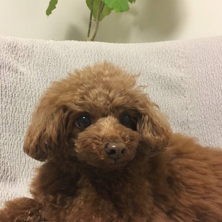 91da93a6 6959 4f86 be93 29e98b38eb53 1546254439869