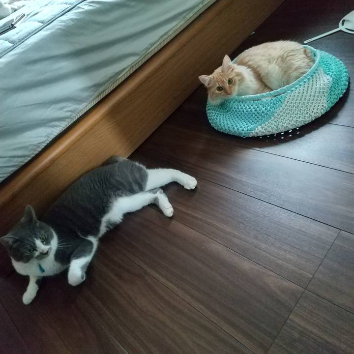 91dabe92 5ca7 4ac2 be74 b08e1e6c9232 1625610874442