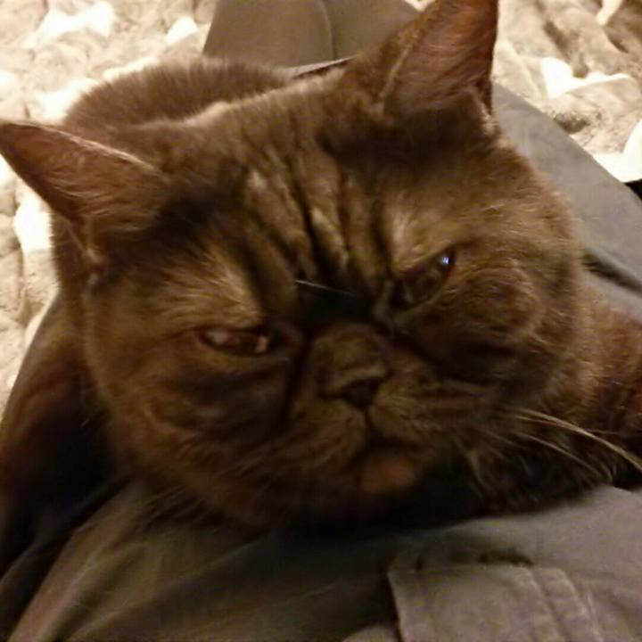 91dacb93 c0af 40b0 b0a6 99504294e0ba 1519899865176