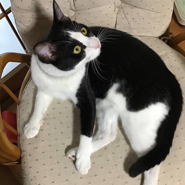 91dad7d5 10b2 4429 929d 349d91572a64 1657190686594