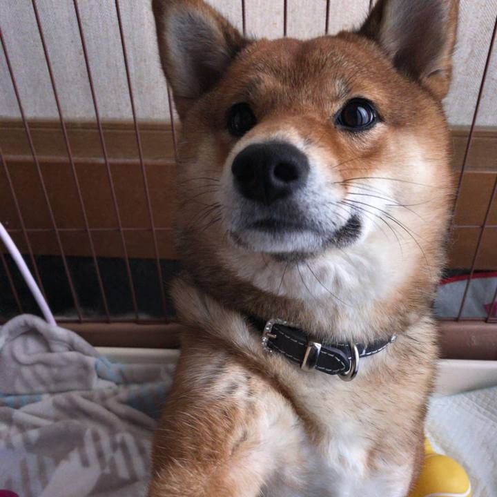 91dafb0e e7a4 45f4 96e8 e11694986b75 1518083547755