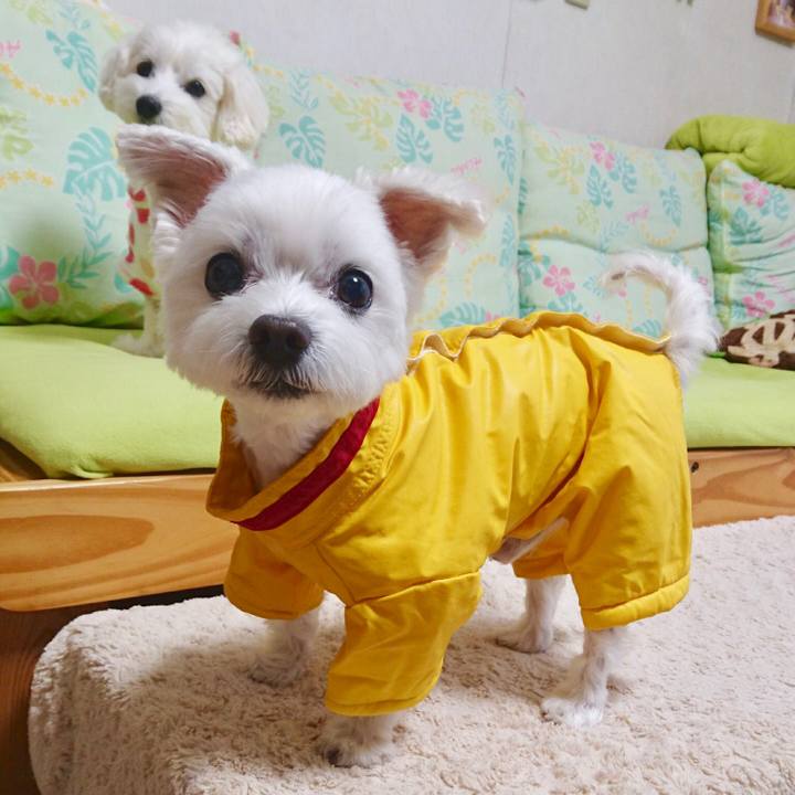 91db2849 5ccb 4fc6 97f9 1ab937094126 1529800844997