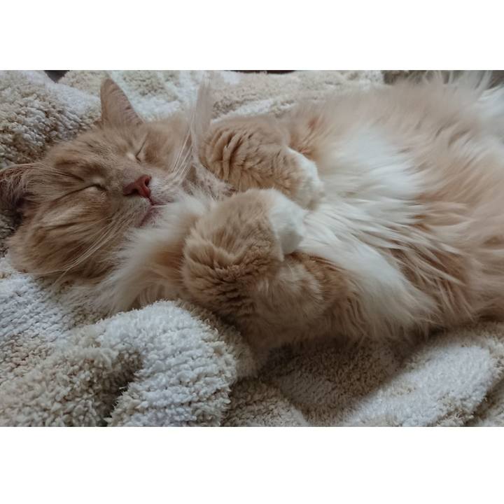 91db5817 4efd 48fe bc82 569790bda158 1556806206248