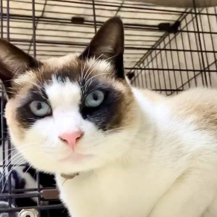 91db7db2 bbbc 4115 8abf d7f18b4450a8 1743586611603