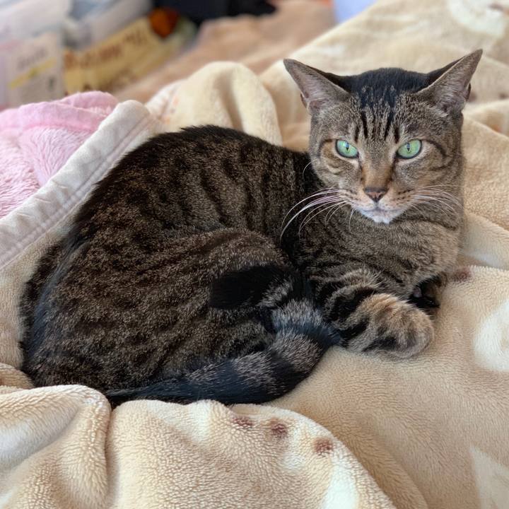 91db8979 d484 4868 b884 82b81a299203 1545613531164