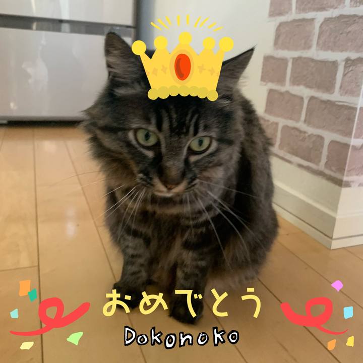 91db8bb1 0837 4ccc 9a3d fe5a9bf008b7 1685995319481