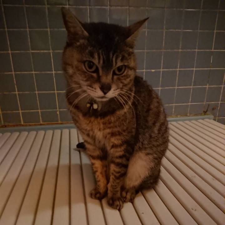 91db8c54 8325 48b9 91ca 743d7389d8eb 1560250003958