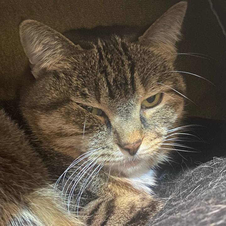 91dbe82f 6dbb 49c5 82e5 218312818d7e 1730716227268