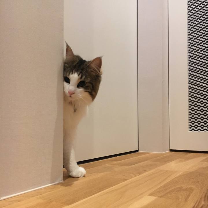 91dc66ec c0b3 41fd a2a3 ecd26e1fb101 1521848968664