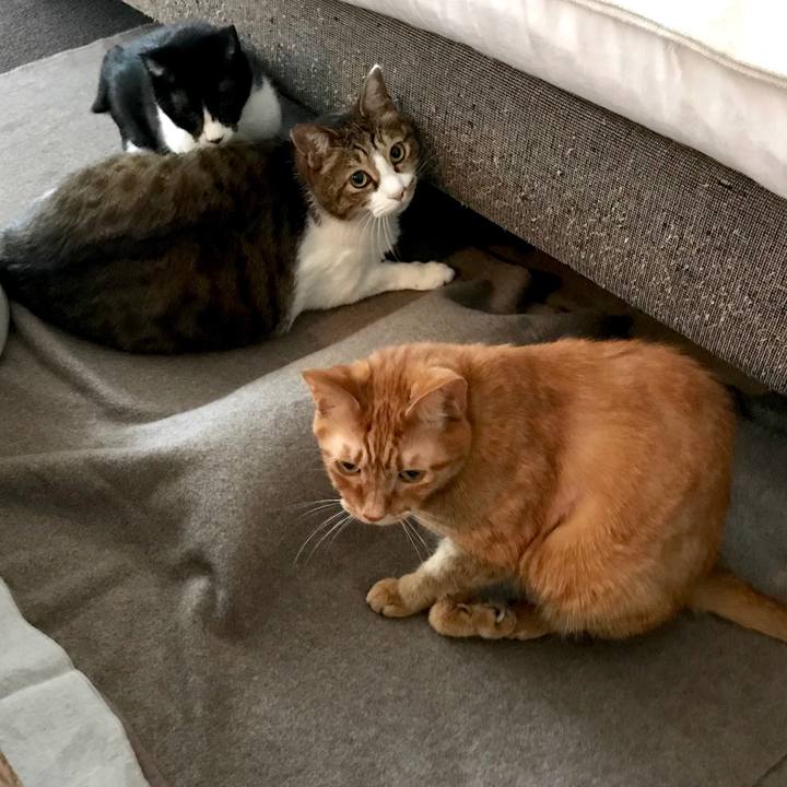 91dc70be 23ab 4745 9459 7ae75ac80d6e 1548989520821