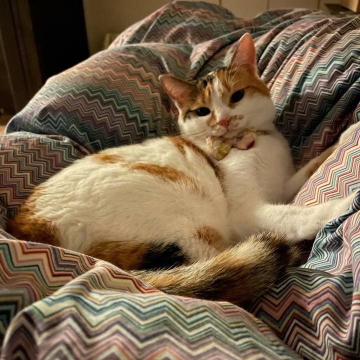 91dc9036 179e 49e4 bbf8 58fb26411d7e 1633815028651