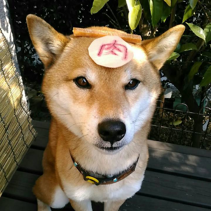 91dc9728 ba23 466c 9f66 7ee36d0cf6d5 1548734408243