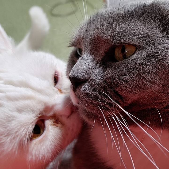 91dc9e51 4712 4739 b7af d9386aa31c63 1673077490443