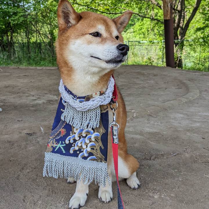 91dca56a 3cd7 45fa 8748 9a622ee1cc87 1714370919533