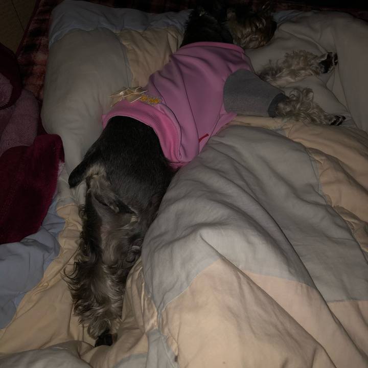 91dca68a 3492 446d 8f9b 46ae7f275e6a 1583852611024