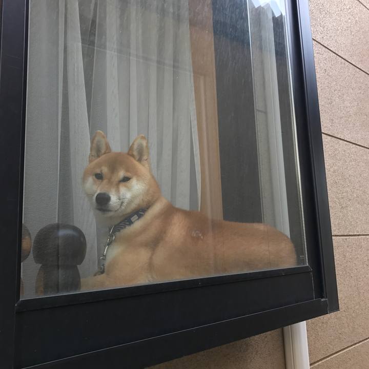 91dca6ca da53 4928 a094 786f76a99c16 1553060350870