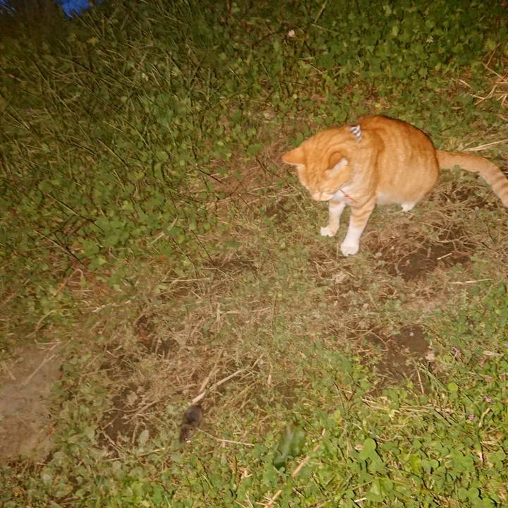 91dccf88 9f72 4835 a022 e77dc559abca 1570438729886