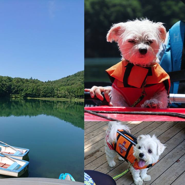 91dd0e5d 944b 4cca aed7 7335ab7838c0 1595159407393