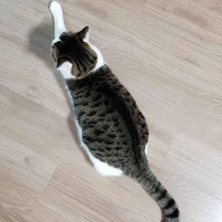 91dd45c3 6da9 4b25 abfe 7c8e10ae058e 1601329210022