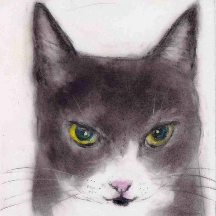 91dd4e86 c72a 45cb ac8f cabd4ef22934 1649843761234