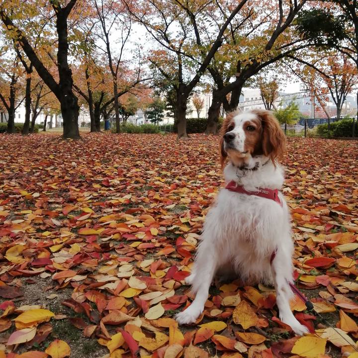 91dd61d9 f8ca 4744 87d3 262881a5f598 1605602854652