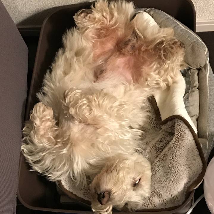 91dd72d2 ab91 4a4f a5c1 37225e22b91a 1517754805435