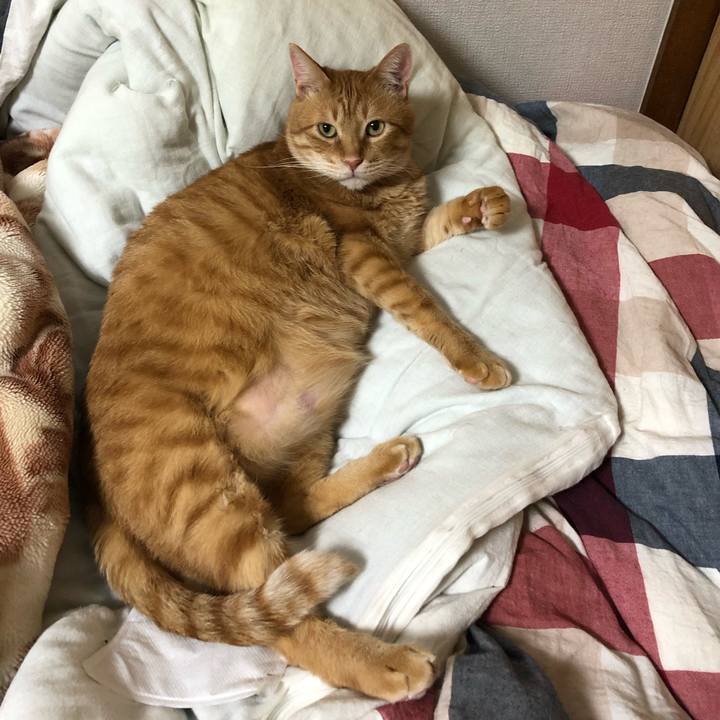 91ddbbb6 3ecf 4200 96ba 3bf58d82506a 1583439688821