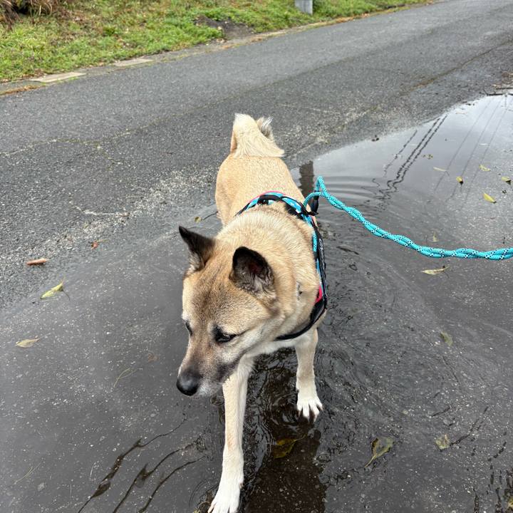 91ddbd60 0955 448d a29a d31c85568e84 1742126989874