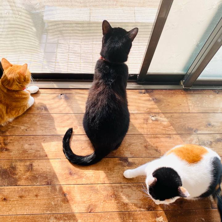 91ddc9c2 8a09 41fe bb90 c508209a9dc5 1698392039386