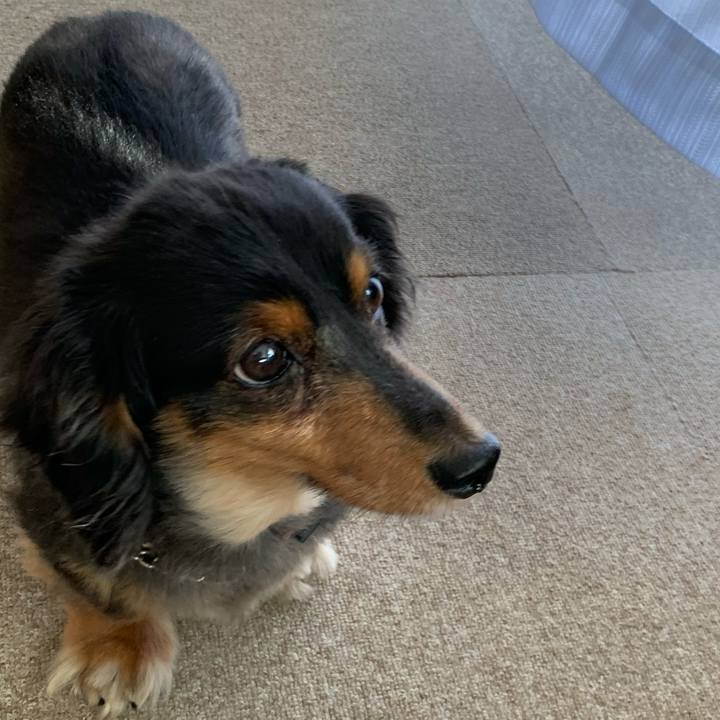 91ddf5d8 bbbe 4c19 af87 a71cf3dec974 1596407087655