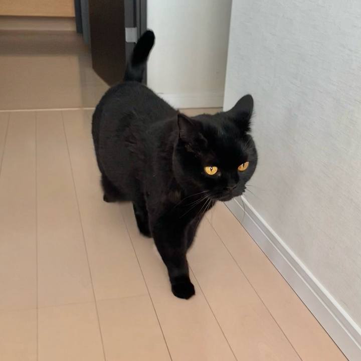 91de662f 26cf 47ba 82da afae9c4efa7a 1724230338550