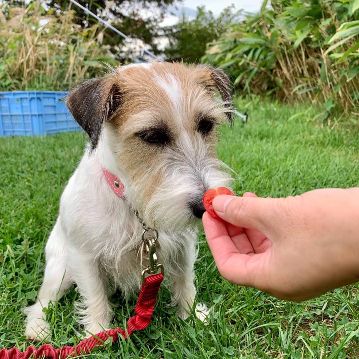 91de6db9 7a5b 4f24 94b8 b95ce3c9f3d9 1663072855575