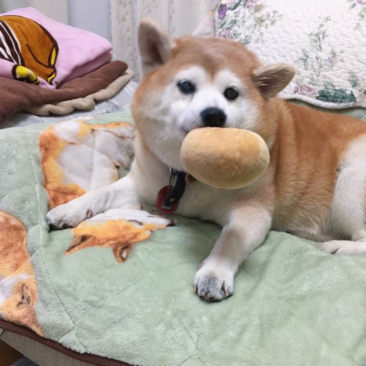 91de7d8b 5eff 432f 9f9d c993d9b8190b 1580991996657