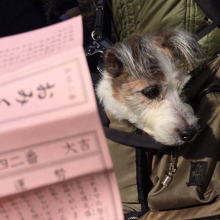 91de8401 0543 44b9 be62 d231b14962b6 1515154871632