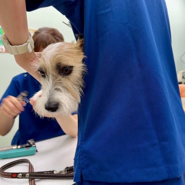 91de8899 3920 480b ae0b f0361bbe6bdb 1722250864997