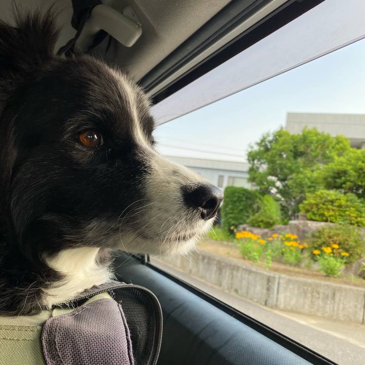 91de9969 f761 4e0b 8ba5 96d706a153f1 1655417252824