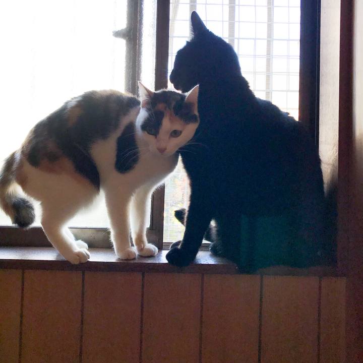 91dea834 bd9b 4788 b35f 8250c7afd0c4 1514106520972