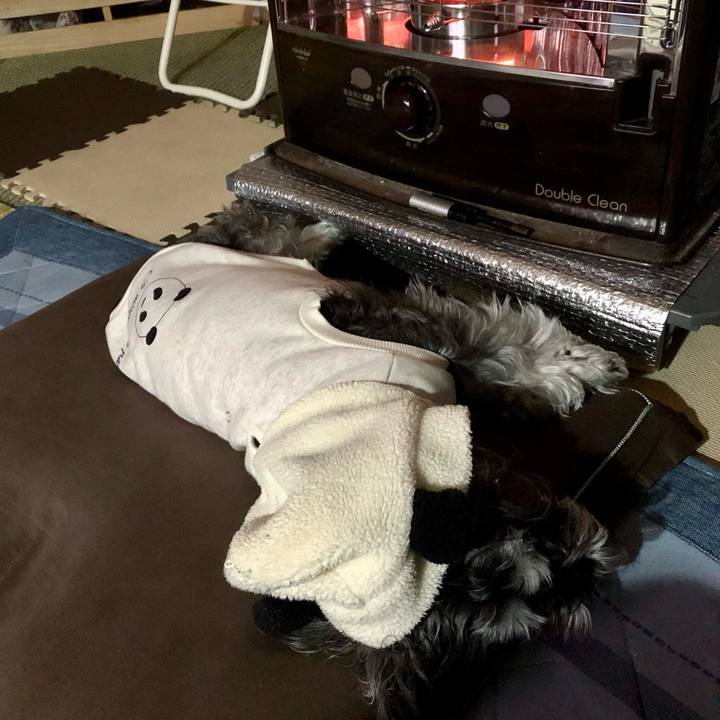 91dec6c7 e4df 4998 aa69 838dd576a96c 1706185583255