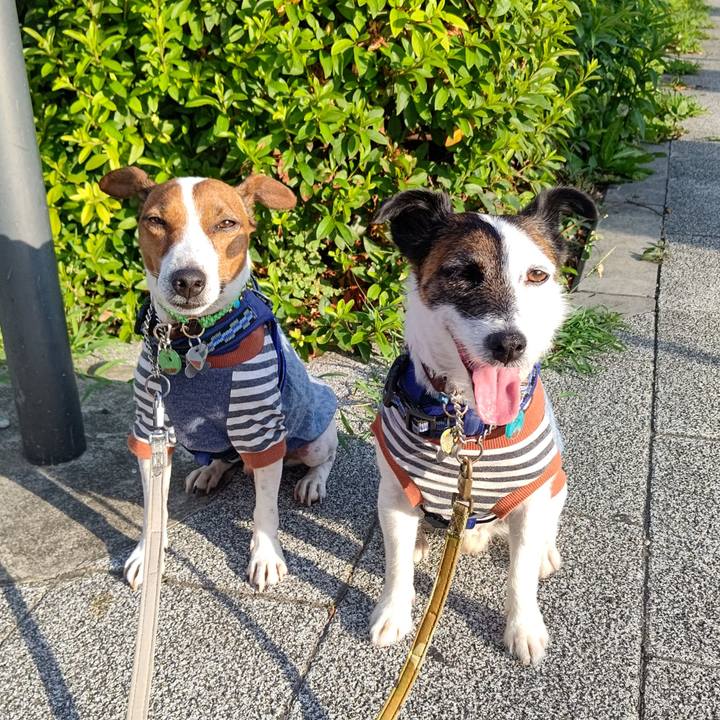 91dedc5b f651 4935 9b96 be9d0e732b30 1656451679874