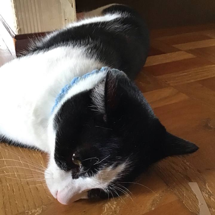 91df6a54 3322 452e 977b 5c751ea34683 1660563281897