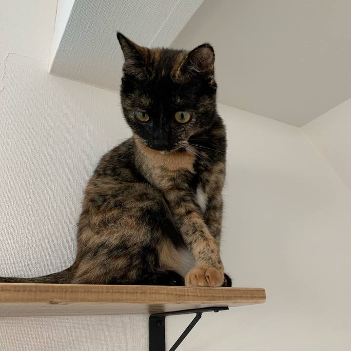 91dfc76e bdce 4a5a 9f8e 8b25d6f029a3 1576460971285