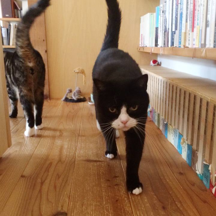 91dfe66e 7c43 45d4 9b74 829043c43188 1531265133326